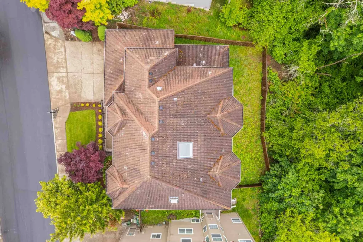 This image showcases the serene exterior of Morningstar Manor, highlighting the roof structure, surrounding greenery, and a quiet driveway. The lush landscaping and tranquil setting suggest the property’s proximity to nature and greenspaces ideal for walks with pets.